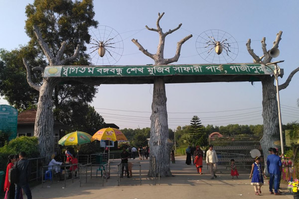 সাফারি পার্কে আফ্রিকান ওয়াইল্ড বিস্টের ঘরে নতুন অতিথি