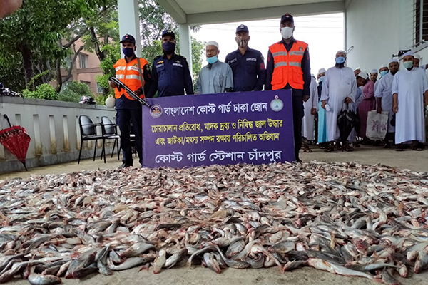 চাঁদপুরে যাত্রীবাহী লঞ্চ থেকে ১৫ মণ পাঙ্গাশ পোনা জব্দ 