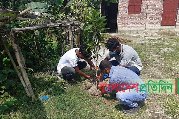 পঞ্চগড়ে বৃক্ষ রোপণ কর্মসূচি 