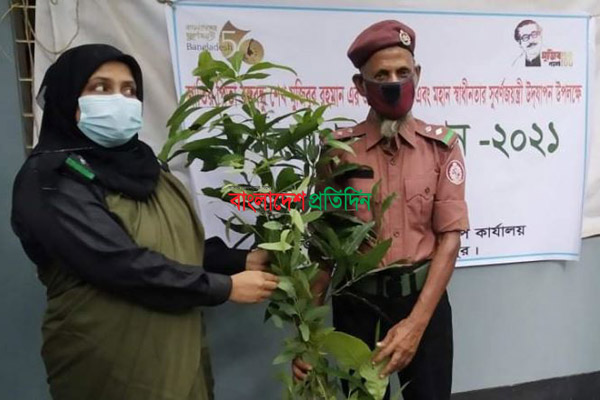 কালিয়াকৈরে আনসার ভিডিপি চারা বিতরণ
