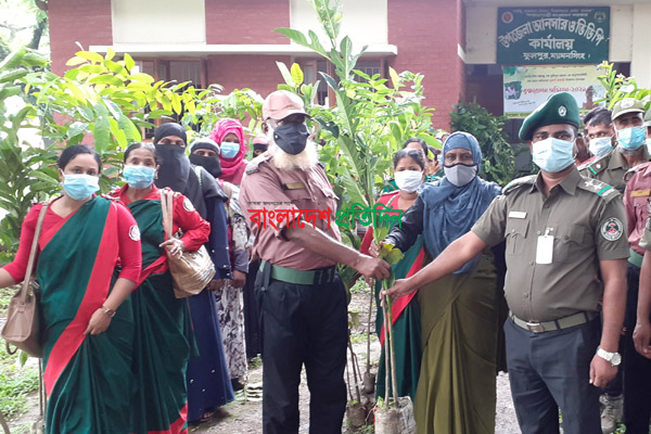 ফুলপুরে আনসার-ভিডিপির সদস্যদের মাঝে চারা বিতরণ
