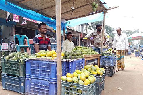 করোনার প্রভাব আমের বাজারে, সূর্যাপুরী আম প্রতি কেজি ৭ টাকা