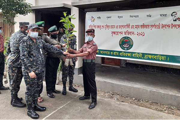 ব্রাহ্মণবাড়িয়ায় বৃক্ষরোপণ অভিযান