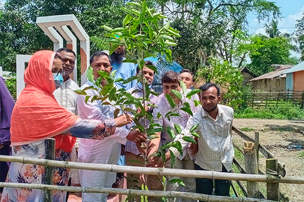 শাজাহানপুরে আওয়ামী লীগের ৭২তম প্রতিষ্ঠাবার্ষিকীতে বৃক্ষরোপণ 