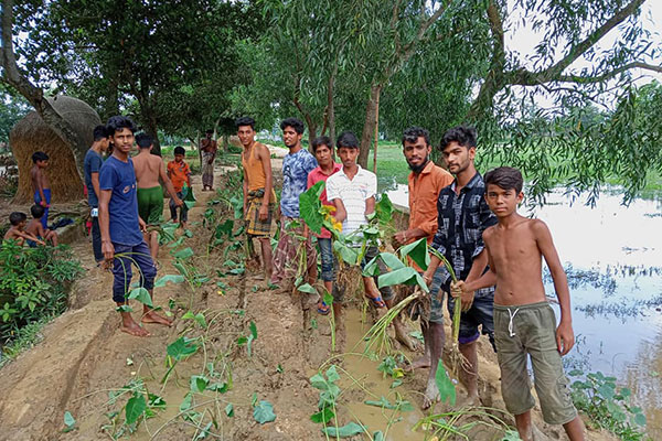 বেহাল সড়কে কচু চারা রোপণ করে প্রতিবাদ