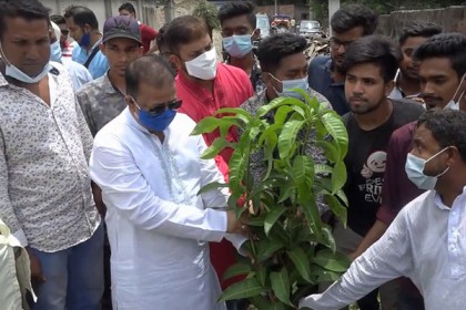 আওয়ামী লীগের প্রতিষ্ঠাবার্ষিকী উপলক্ষে সাভারে বৃক্ষরোপণ 

