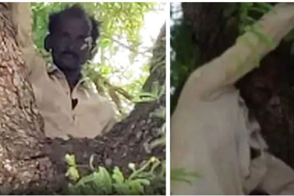 কোভিড টিকার ভয়ে গাছে উঠে সারাদিন বসে থাকলেন তিনি!

