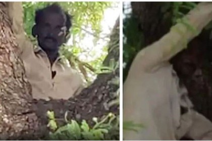 কোভিড টিকার ভয়ে গাছে উঠে সারাদিন বসে থাকলেন তিনি!

