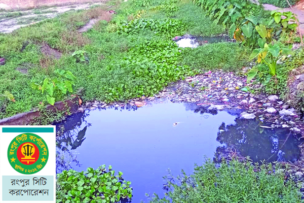 রংপুরের দুঃখ শ্যামাসুন্দরী খাল