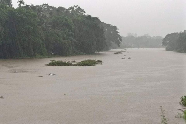 নেত্রকোনায় বেড়েছে নদ-নদীর পানি