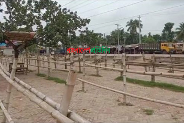 দেশের সবচেয়ে বড় গরুর হাট বন্ধ, উৎকন্ঠায় ব্যবসায়ী ও খামারিরা