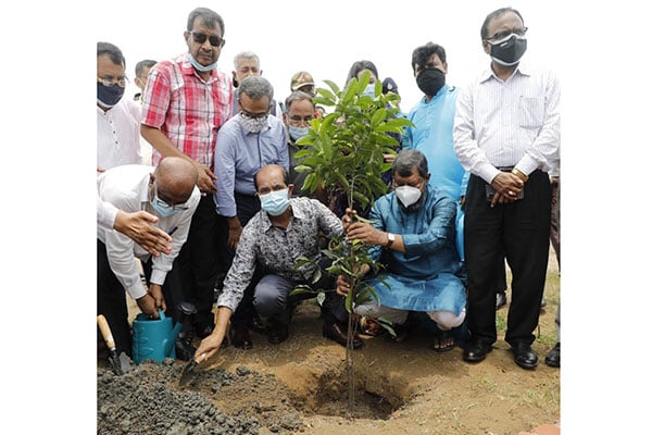 ছাদে বাগান করলে ১০ শতাংশ হোল্ডিং ট্যাক্স মওকুফ