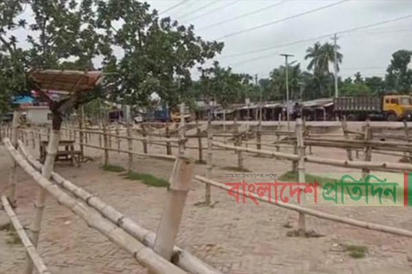 শার্শায় সাতমাইল গরুর হাট বন্ধ, উৎকণ্ঠায় ব্যবসায়ীরা