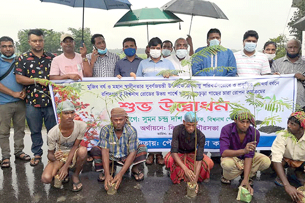 বিশ্বনাথে কৃষ্ণচূড়ার চারা রোপণ কর্মসূচি