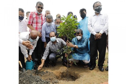 ছাদে বাগান করলে ১০ শতাংশ হোল্ডিং ট্যাক্স মওকুফ