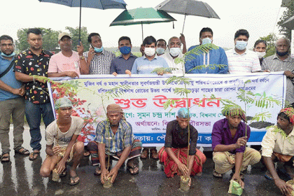 বিশ্বনাথে কৃষ্ণচূড়ার চারা রোপণ কর্মসূচি