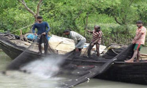 সুন্দরবনে দুই মাস সব ধরনের মাছ আহরণ নিষিদ্ধ 