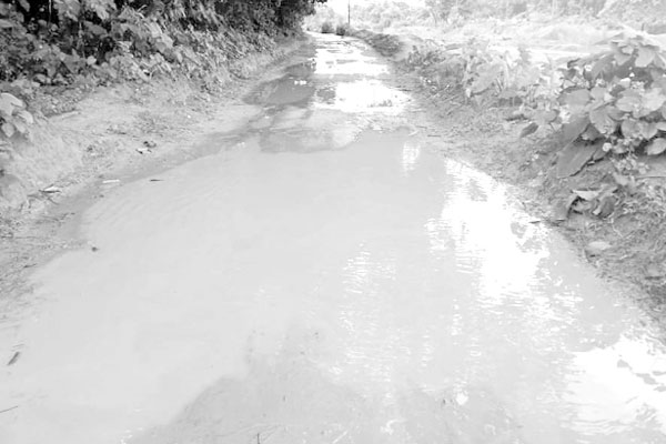 সড়ক খোঁড়াখুঁড়িতে ভোগান্তি