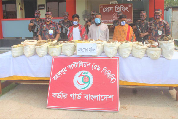 ভোলাহাট সীমান্তে কচ্ছপের হাড়সহ আটক ৩