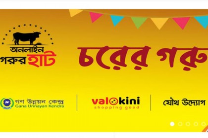 অনলাইনে কোরবানির পশুর হাট ‘চরের গরু’ উদ্বোধন 

