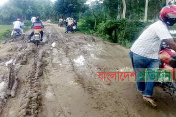 বীরগঞ্জে কর্দমাক্ত রাস্তায় মানুষের চরম ভোগান্তি