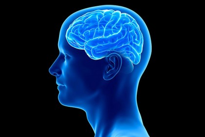 যে ৭ বদঅভ্যাস মস্তিষ্কের জন্য ক্ষতিকর