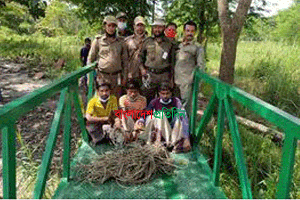 সুন্দরবন থেকে তিন হরিণ শিকারী আটক