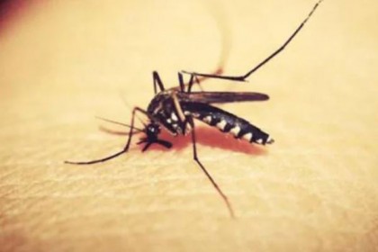 করোনার মধ্যেই ভারতের কেরালায় নতুন বিপদ, রাজ্যজুড়ে সতর্কতা জারি