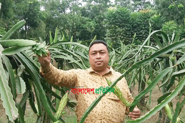 ড্রাগন চাষ দেখে ভাগ্য বদলের স্বপ্ন দুলালের  