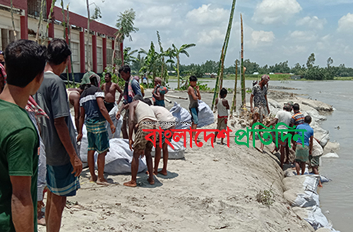 পীরগাছায় তিস্তার ভাঙনের মুখে স্কুল, চলতি বছরে অর্ধশত বসতভিটা নদীগর্ভে