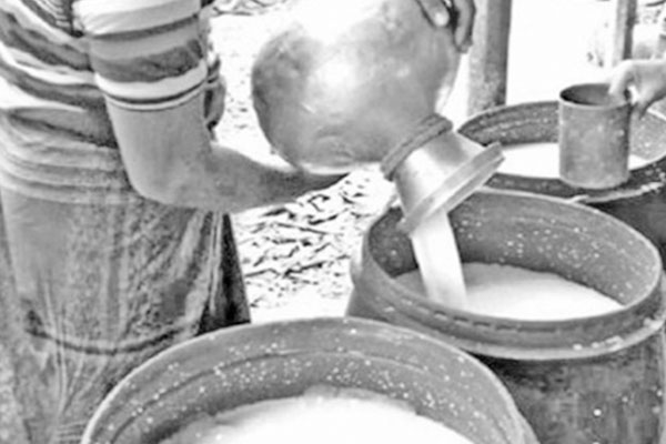 মানিকগঞ্জে পানির দামে দুধ