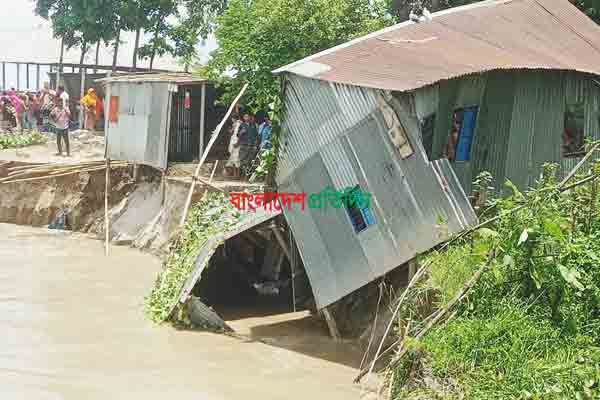 গোয়ালন্দে পদ্মায় ভয়াবহ ভাঙন, নদীগর্ভে ১৬টি বসতবাড়ি