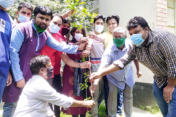 বগুড়ার আজিজুল হক কলেজে বৃক্ষরোপণ অভিযান 