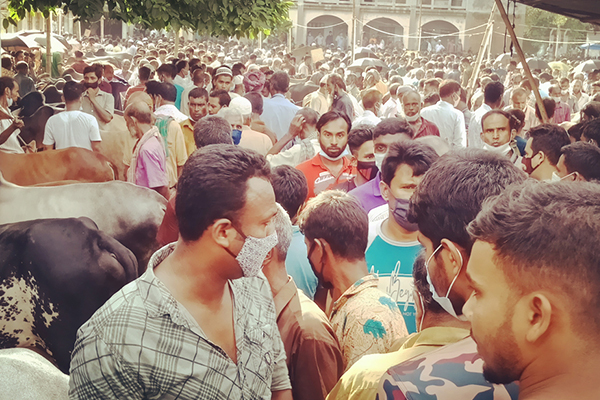 শেরপুরে পশুর হাটে মানা হচ্ছে না স্বাস্থ্যবিধি