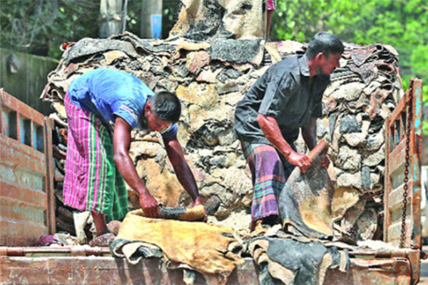 গত বছরের চেয়ে বাড়িয়ে চামড়ার দাম নির্ধারণ 