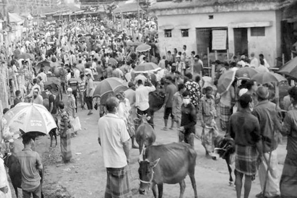 জমতে শুরু করেছে পশুরহাট মানা হচ্ছে না স্বাস্থ্যবিধি