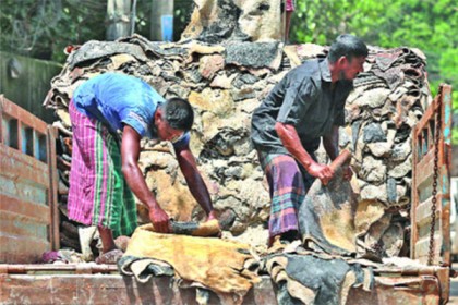 গত বছরের চেয়ে বাড়িয়ে চামড়ার দাম নির্ধারণ 
