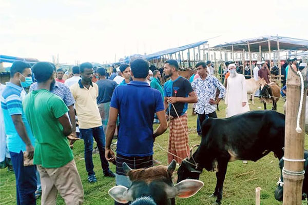 বরিশালে পশুর হাটে উপেক্ষিত স্বাস্থ্যবিধি