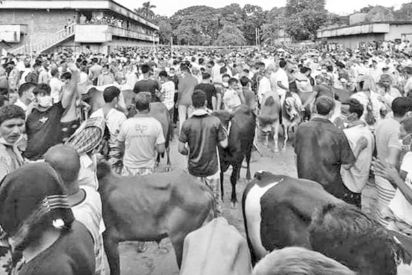 পশুর হাটে উপেক্ষিত স্বাস্থ্যবিধি