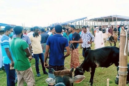 বরিশালে পশুর হাটে উপেক্ষিত স্বাস্থ্যবিধি