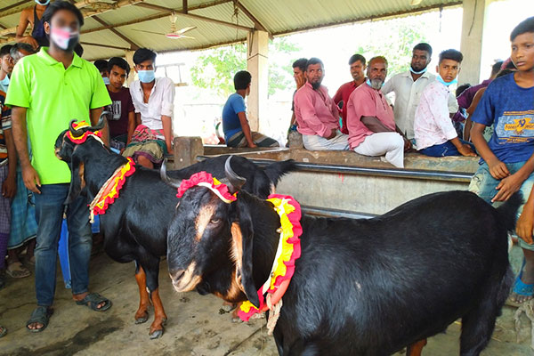 সাড়ে পাঁচ লাখে মিলছে 'মেসি-নেইমার'

