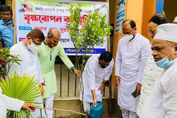 রায়পুরে গাছের চারা রোপণ ও বিতরণ কর্মসূচি