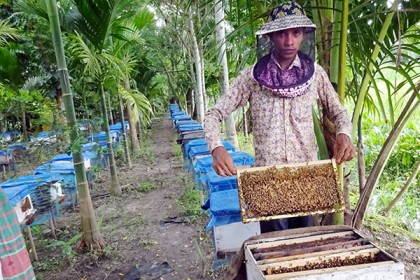 ব্যতিক্রমী স্বপ্নেই সাবলম্বী মাদরাসাছাত্র আরিফুল