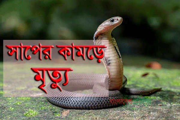 সাপের কামড়ে সাপুড়ের মৃত্যু