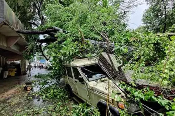মুম্বাইয়ে মুষলধারে বৃষ্টিতে ভূমিধসে নিহত বেড়ে ২৫