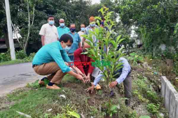 দিনাজপুরে আট হাজার গাছের চারা রোপণ