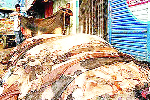 ঈদের দুই দিন চামড়া যাবে না ঢাকায়