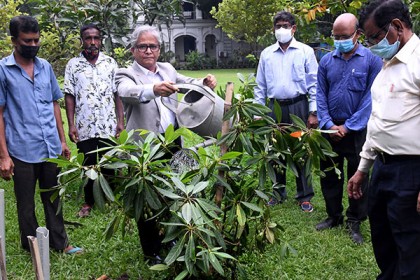 ঢাবি’র শতবর্ষ উপলক্ষ্যে দুষ্প্রাপ্য ‘রুদ্রাক্ষ’ গাছের চারা রোপণ