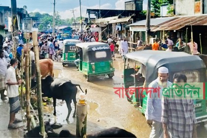 হাটে ভিড় কম, বাড়ি বাড়ি বিক্রি হচ্ছে পশু