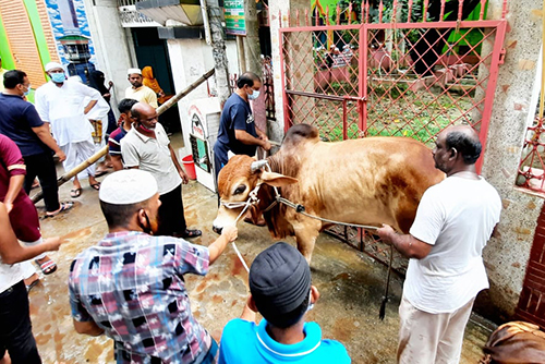 কোরবানির পশু জবাইয়ে ব্যস্ত নগরবাসী
